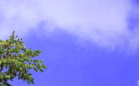 中午犯困怎么辦