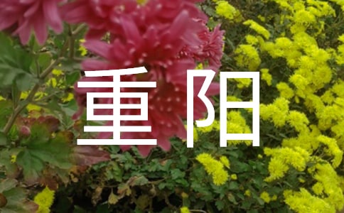 重陽(yáng)活動(dòng)主持稿