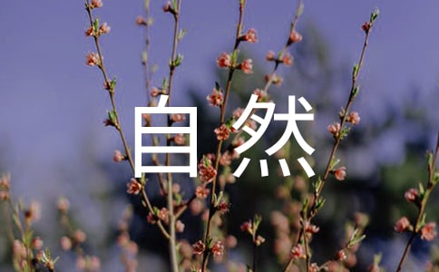 渦輪增壓與自然吸氣的優缺點有哪些