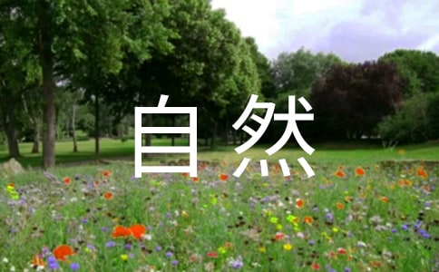 《大自然的語言》閱讀及答案