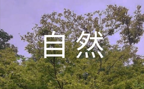 自然人像攝影技巧