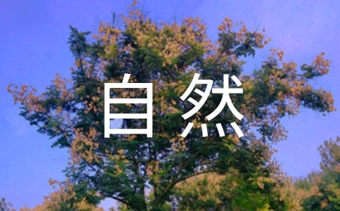 瘦臉按摩方法教你怎么樣自然瘦臉最快最有效
