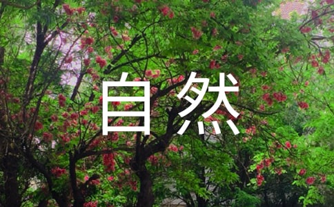 享受大自然的唯美句子15篇【熱門】