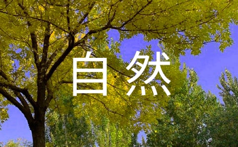 曬斑的去除自然方法有哪些